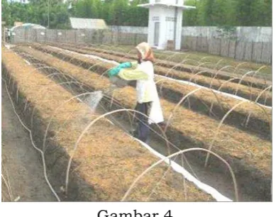 Gambar 2 Gambar 3 