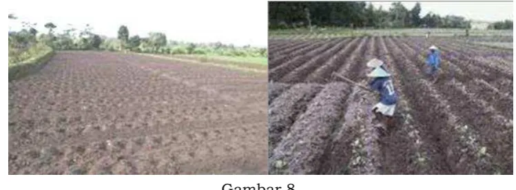   Gambar 8 