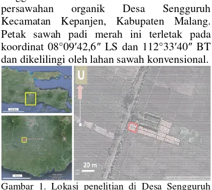 Gambar 1. Lokasi penelitian di(kotak merah)  di Desa Sengguruh 