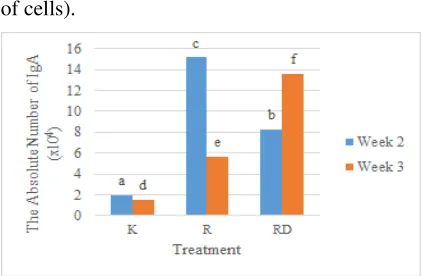 Figure 2. The absolute number of IgA (K = control, R 
