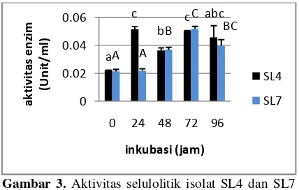 Gambar 3. Aktivitas selulolitik isolat SL4 dan SL7 pada media CMC broth  