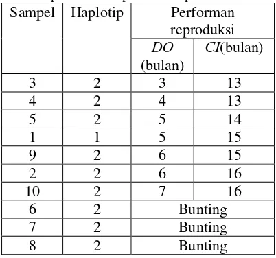 Tabel 1. Haplotip gen BMP-15 Sapi FH dengan menggunakan enzim restriksi HaeIII 