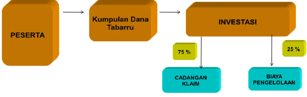 Gambar 4.3 Skema pengelolaan Dana  Tabarru’ 