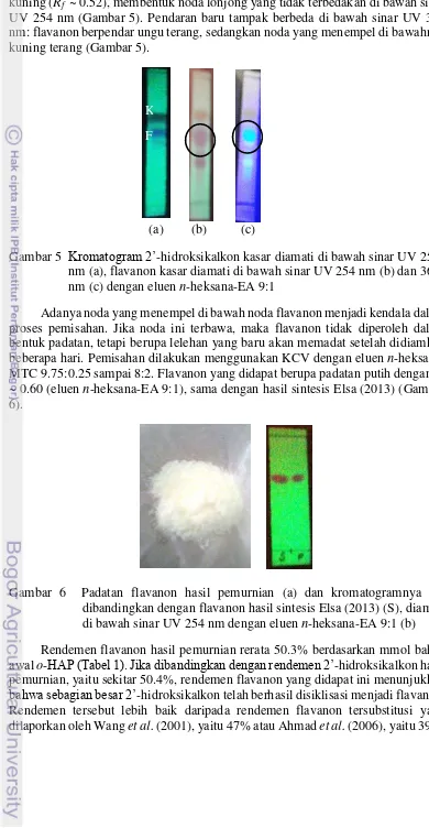 Gambar 5  Kromatogram 2’-hidroksikalkon kasar diamati di bawah sinar UV 254 