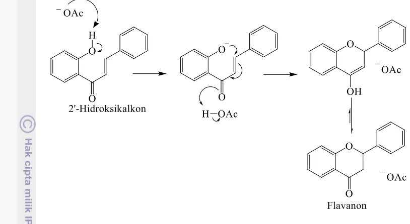 Gambar 7  Mekanisme siklisasi 2’-hidroksikalkon menjadi flavanon dengan katalis 