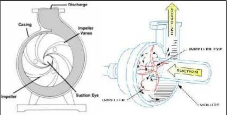 Gambar 1. Pompa Sentrifugal 