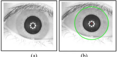 Fig. 4: Iris Localization: (a) Original Iris image. (b) Detected Iris boundary 
