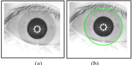 Fig. 4: Iris Localization: (a) Original Iris image. (b) Detected Iris boundary 