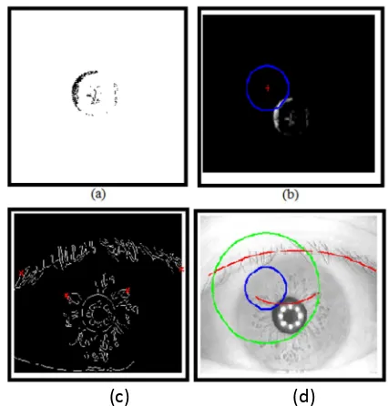 Fig. 6: Poor Iris segmentation process: (a) Binarised eye image. (b) Failed detected Pupil