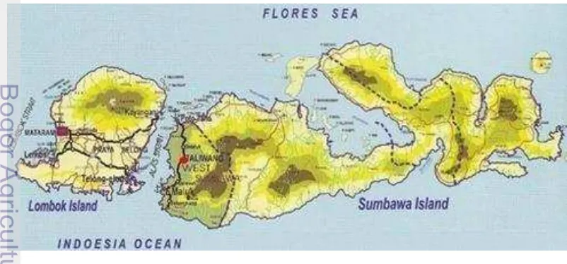 Gambar 2.1 Peta Wilayah Provinsi Nusa Tenggara Barat dan Kabupaten   