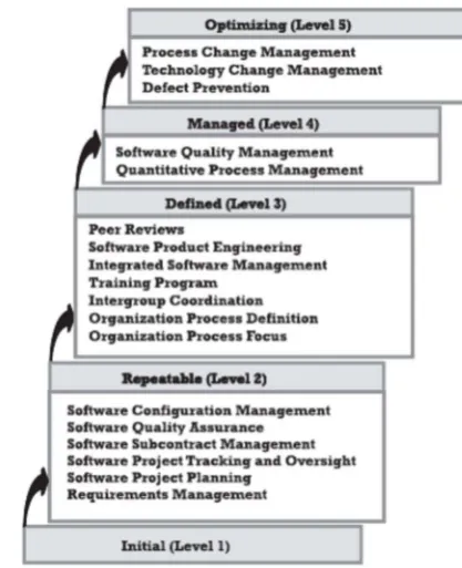 Gambar 1.CMMI Proses Maturity Level 