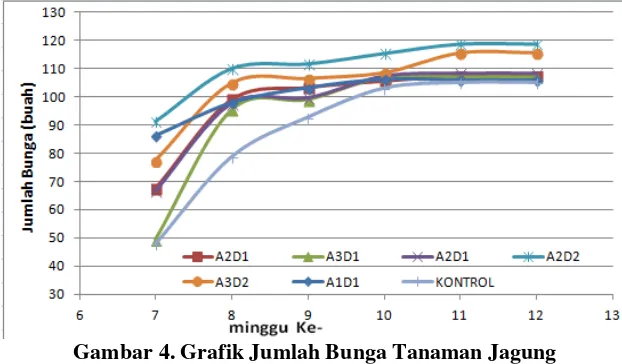 Gambar 4. Grafik Jumlah Bunga Tanaman Jagung 