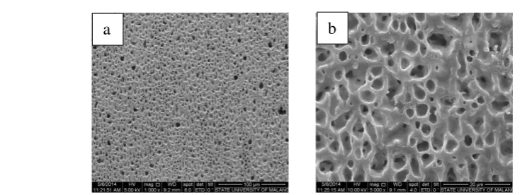 Gambar 5       . Hasil scan membran nilon dengan berbagai perbesaran a) Foto SEM perbesaran 1000X   b) Foto SEM perbesaran 5000X 