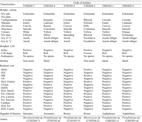 Table 2. The Results of the Characterization and Identification of Six Selected Bacterial Isolates 