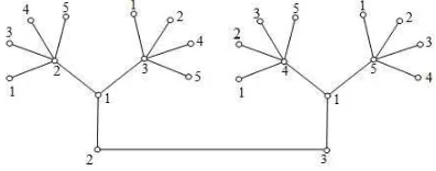 Gambar 1. Pewarnaan lokasi minimum pada graf 2S3,4