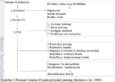 Gambar 2 Peranan vitamin D pada penyakit jantung (Kimura et al. 1999) 