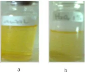 Gambar 3: Perubahan warna akibat pengaruh oksidator(a) Sebelum penambahan oksidator dan (b) Setelah 15 jamkontak dengan oksidator (H2O2 1%)