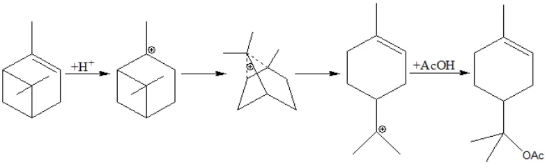 Gambar 2.4. Proses reaksi esterifikasi α-pinena (Liu et al, 2008) 