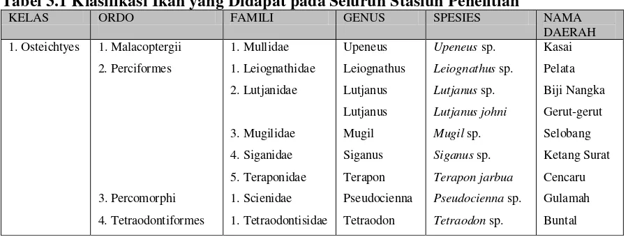 Tabel 3.1 Klasifikasi Ikan yang Didapat pada Seluruh Stasiun Penelitian 