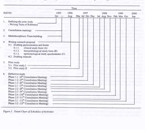 Figure I. Gannt Chart ofSchedules ofActivities