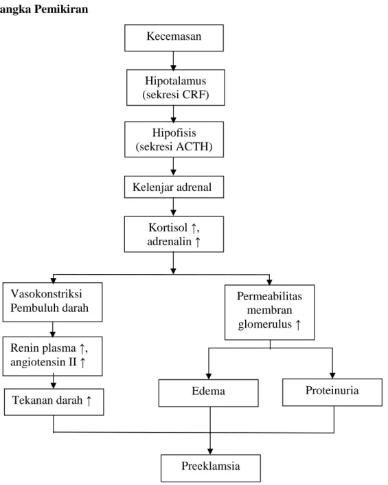 Gambar 1. Kerangka Pemikiran Hipotalamus (sekresi CRF) Hipofisis (sekresi ACTH) Kelenjar adrenal   Kortisol ↑, adrenalin ↑ Renin plasma ↑, angiotensin II ↑ Tekanan darah ↑ Vasokonstriksi  Pembuluh darah Edema  Permeabilitas membran glomerulus ↑  Proteinuri