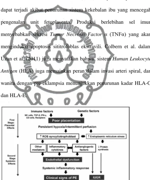 Gambar 2.1 Patogenesis Preeklamsia (Rugolo et al., 2011) 
