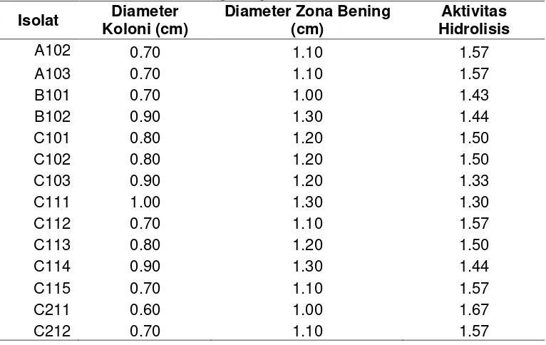 Tabel 1. Aktivitas Xilanolitik Mikroorganisme Termofilik Berdasarkan Rasio antara Diameter   Zona Bening dengan Diameter Koloni