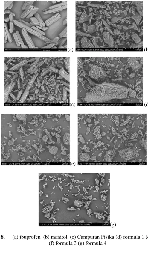 Gambar 8.   (a) ibuprofen  (b) manitol  (c) Campuran Fisika (d) formula 1 (e) formula 2   (f) formula 3 (g) formula 4 