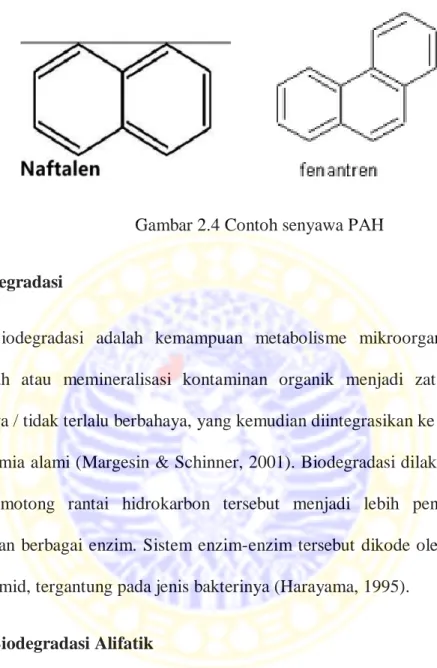 Gambar 2.4 Contoh senyawa PAH 