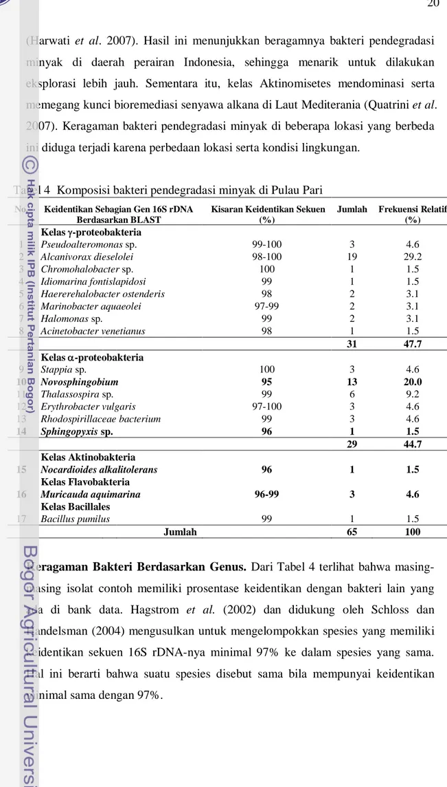 Tabel 4  Komposisi bakteri pendegradasi minyak di Pulau Pari 