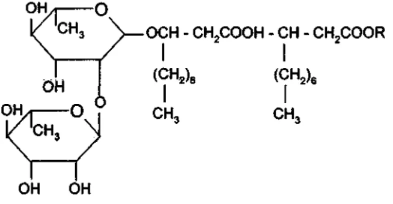 Gambar 1. Struktur Rhamnolipid Pseudomonas