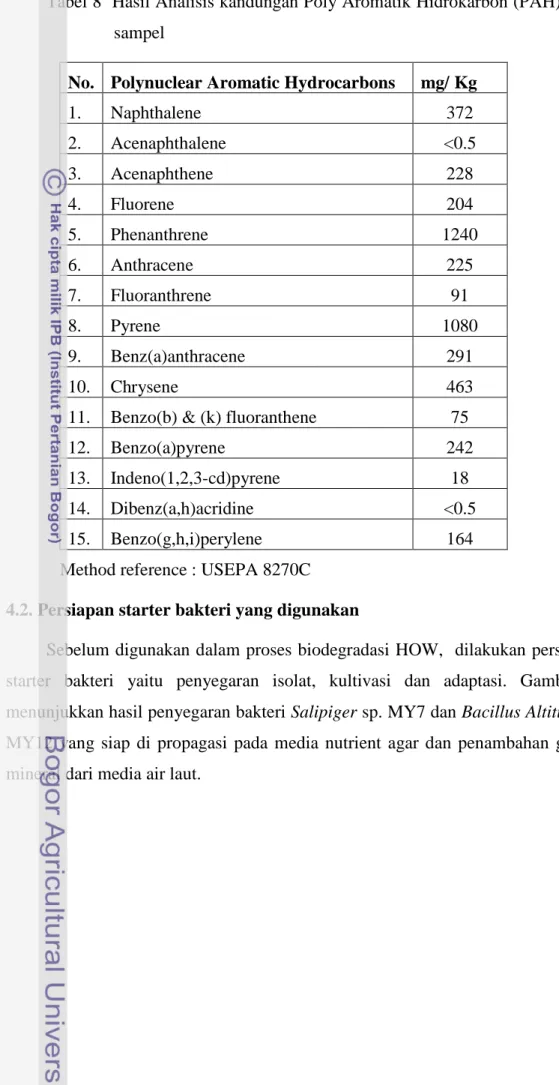 Tabel 8  Hasil Analisis kandungan Poly Aromatik Hidrokarbon (PAH) pada  sampel  