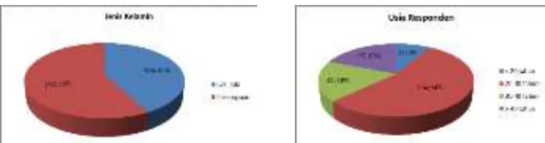 Gambar 2. Diagram Pie Data Jenis Kelamin dan Usia 