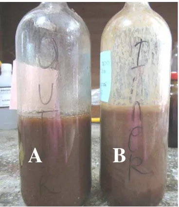 Gambar 2. Perekat likuida kulit buah kakao luar (A) dan dalam (B) 