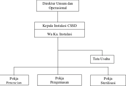 Gambar 3.2. Struktur Organisasi Instalasi DepartmentCentral Sterilized Supply (CSSD)RSUP H