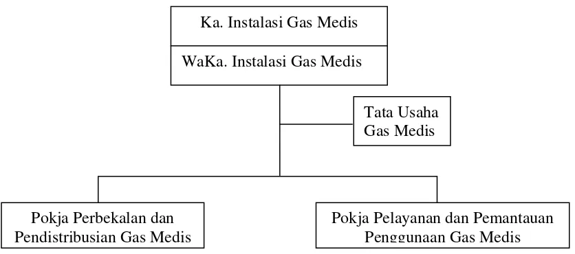 Gambar 3. 3Struktur Organisasi Instalasi Gas Medis RSUPH. Adam Malik 