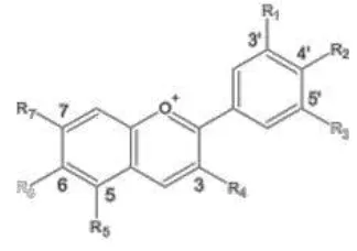 Gambar 2. Struktur Kimia Antosianin [16] 