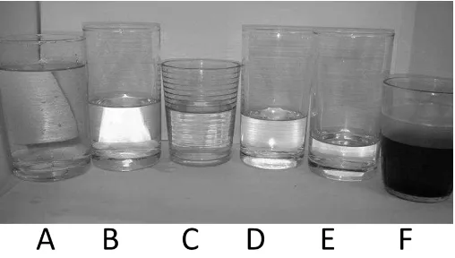 Gambar 2.  Hasil Filtrasi Air Kali A) Air Kali; B) Air Hasil filtrasi Air Kali Ke-1; C) Air Hasil Filtrasi Air Kali Ke-2; D) Air Hasil Filtrasi Air Kali Ke-3; E) Air Minum 