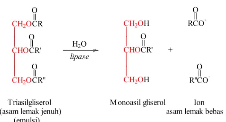 Gambar 2.  Hidrolisis asam lemak jenuh dalam minyak VCO dengan lipase  Selain  proses  hidrolisis,  terbentuknya  asam  lemak  bebas  juga  disebabkan  oleh  proses  oksidasi  akibat  terjadinya  kontak  antara  sejumlah  oksigen dengan minyak