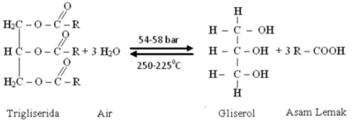 Gambar 2. Reaksi Pembentukan Gliserol (Ketaren, 1986)