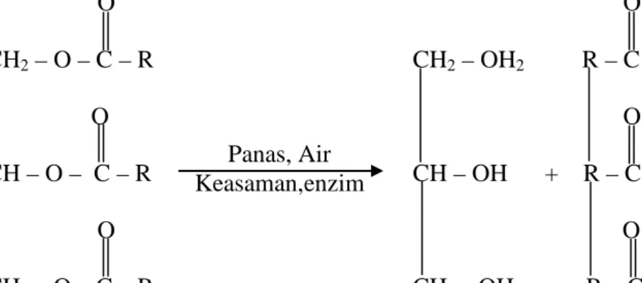 Gambar 2.5 Reaksi glikolisis trigliserida 