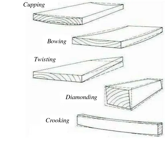 Gambar 1 Beberapa jenis cacat bentuk pada proses pengeringan kayu 