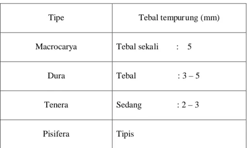 Tabel 2.1.1.1  Beda Tebal Tempurung dari  Tipe Kelapa Sawit 