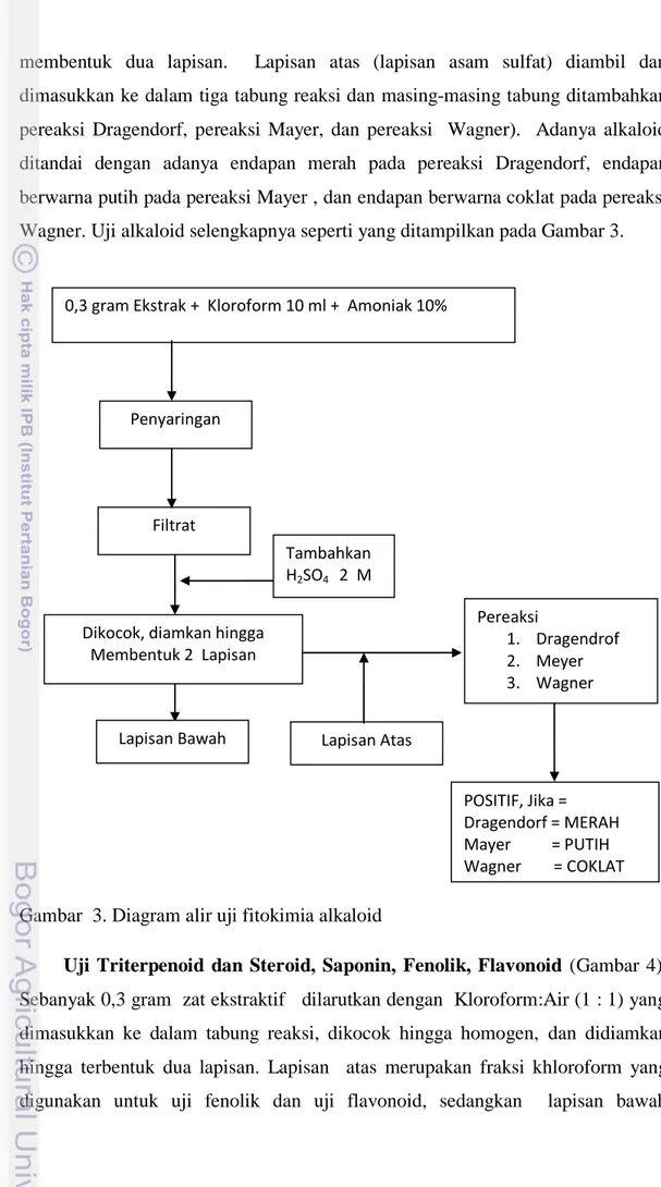 Gambar  3. Diagram alir uji fitokimia alkaloid 