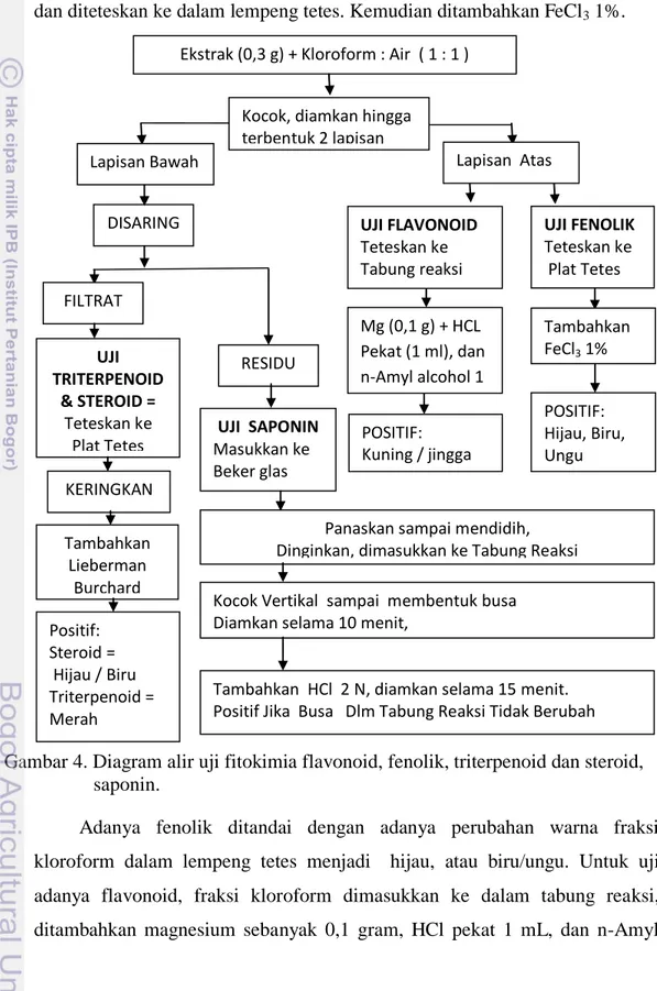 Gambar 4. Diagram alir uji fitokimia flavonoid, fenolik, triterpenoid dan steroid,  saponin