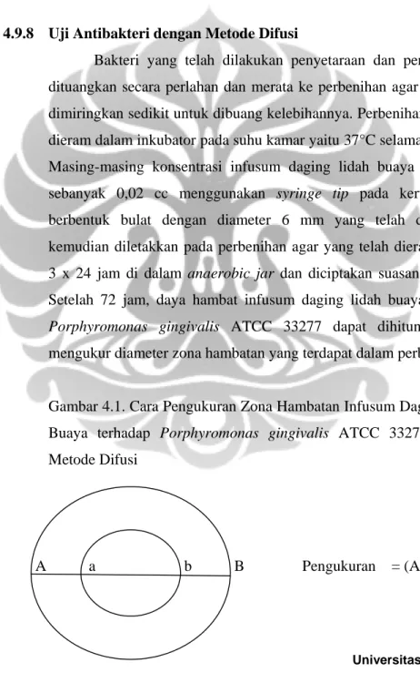 Gambar 4.1. Cara Pengukuran Zona Hambatan Infusum Daging Lidah  Buaya terhadap Porphyromonas gingivalis ATCC 33277 Melalui  Metode Difusi                                                                                                                       