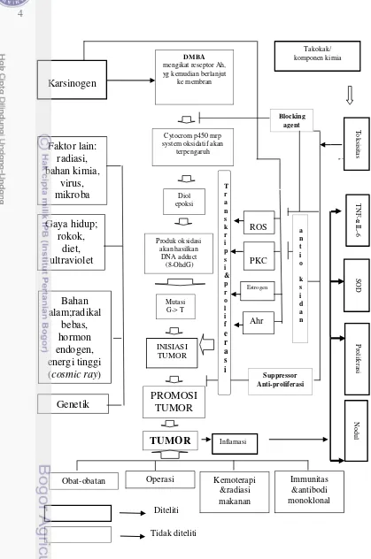 Gambar 1. Kerangka pemikiran   