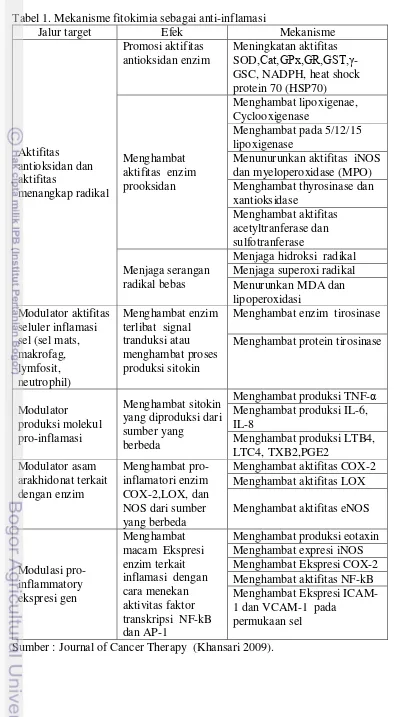 Tabel 1. Mekanisme fitokimia sebagai anti-inflamasi  