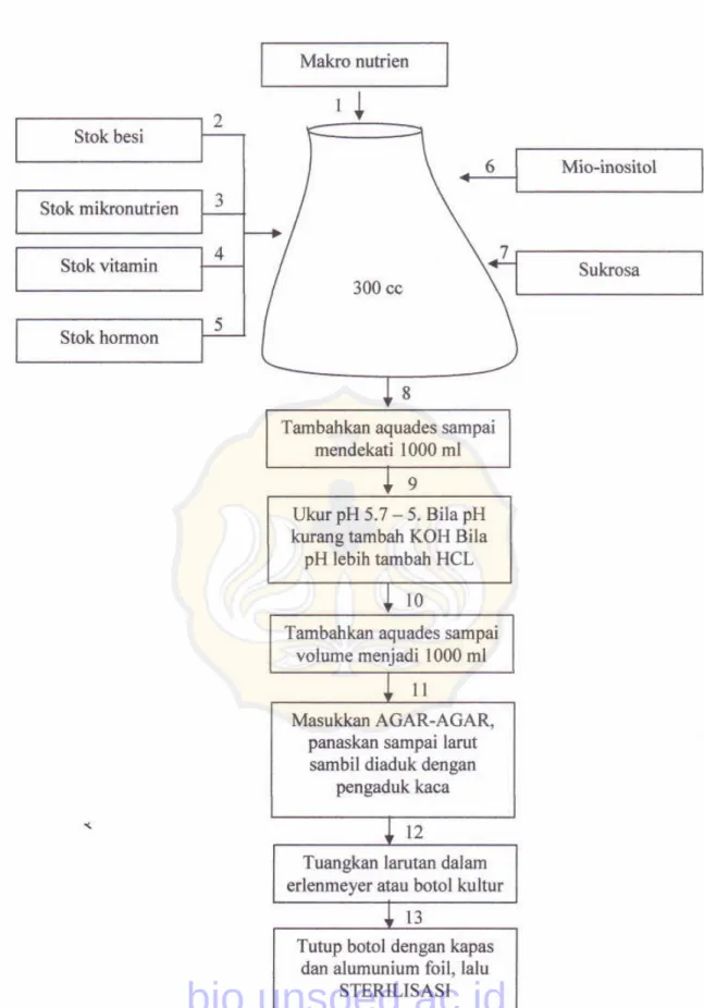 Gambar  20.  Skema  pembuatan  medium MS  volume  I  liter