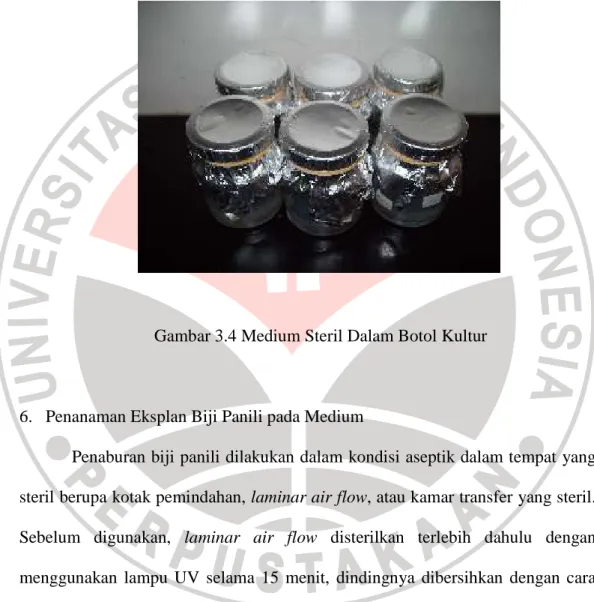 Gambar 3.4 Medium Steril Dalam Botol Kultur 